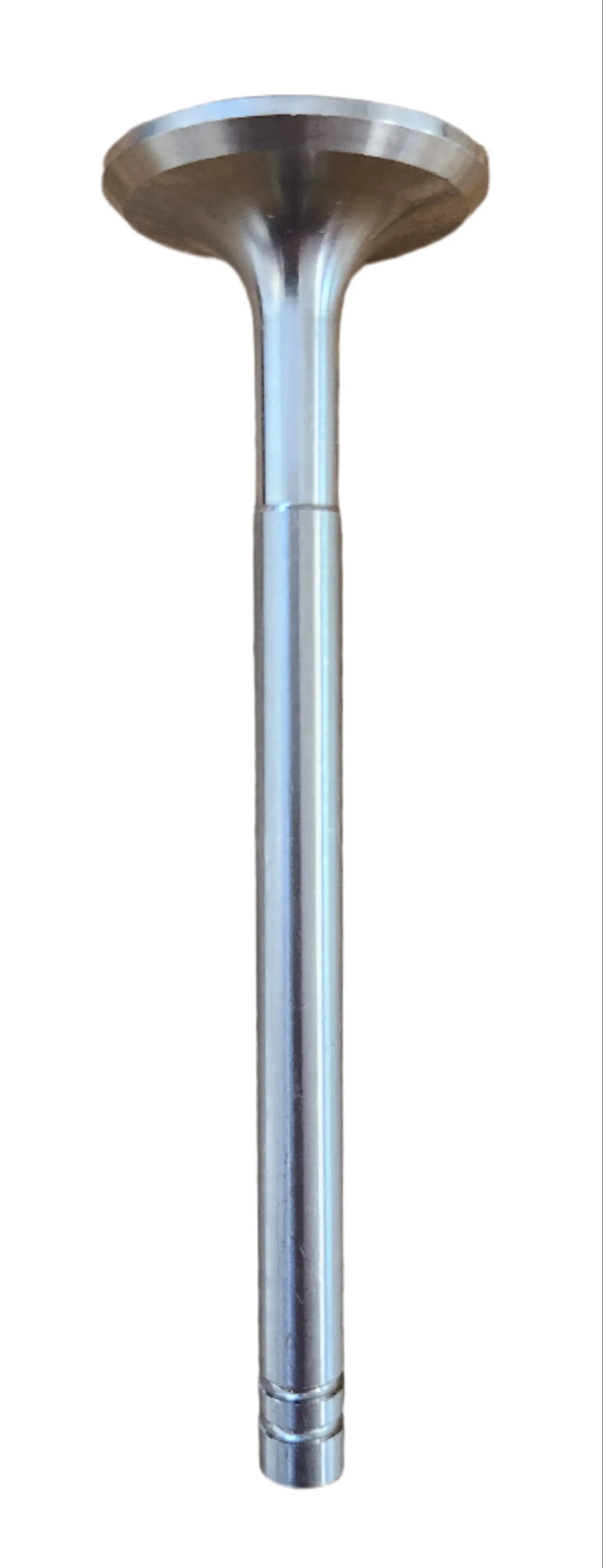 Exhaust Valve