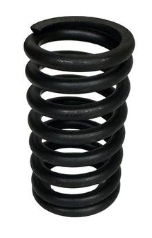 Valve Spring